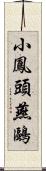 小鳳頭燕鷗 Scroll