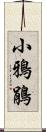 小鴉鵑 Scroll