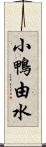 小鴨由水 Scroll