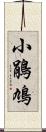 小鵑鳩 Scroll