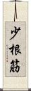 少根筋 Scroll