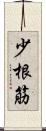 少根筋 Scroll