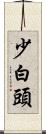 少白頭 Scroll