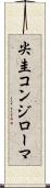 尖圭コンジローマ Scroll