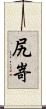 尻嵜 Scroll