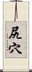 尻穴 Scroll