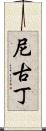 尼古丁 Scroll