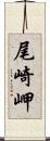 尾崎岬 Scroll