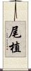尾植 Scroll