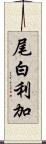 尾白利加 Scroll