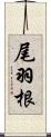 尾羽根 Scroll