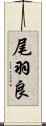 尾羽良 Scroll