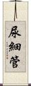 尿細管 Scroll