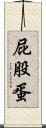 屁股蛋 Scroll