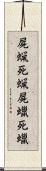 屍蝋 Scroll