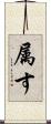 属す Scroll