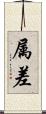 属差 Scroll