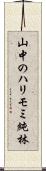 山中のハリモミ純林 Scroll