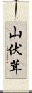 山伏茸 Scroll