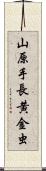 山原手長黄金虫 Scroll