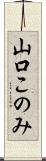 山口このみ Scroll