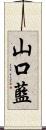 山口藍 Scroll