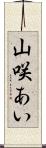 山咲あい Scroll