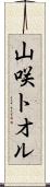山咲トオル Scroll