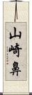 山崎鼻 Scroll