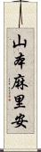 山本麻里安 Scroll