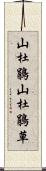 山杜鵑 Scroll