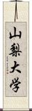 山梨大学 Scroll