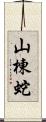 山棟蛇 Scroll