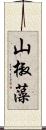 山椒藻 Scroll