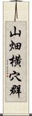 山畑横穴群 Scroll