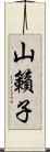 山籟子 Scroll