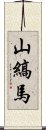 山縞馬 Scroll