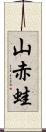 山赤蛙 Scroll