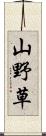 山野草 Scroll
