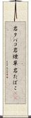 岩タバコ Scroll