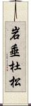 岩垂杜松 Scroll