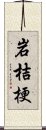 岩桔梗 Scroll