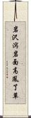 岩沢瀉 Scroll