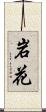 岩花 Scroll