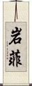 岩菲 Scroll