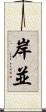 岸並 Scroll