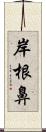 岸根鼻 Scroll