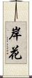 岸花 Scroll
