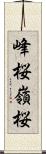 峰桜 Scroll