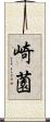 崎薗 Scroll